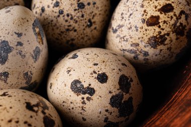 Doğal organik bıldırcın yumurtaları.