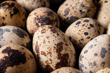 Doğal organik bıldırcın yumurtaları.