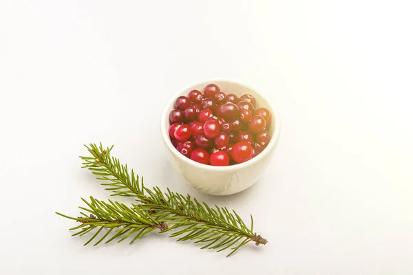 Ripe Fresh Cranberries Bowl Pine Branch Isolated White Background Winter — Stock Photo, Image