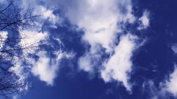 Λευκά Σύννεφα Πετούν Περνώντας Επιπλέουν Φωτεινό Γαλάζιο Ουρανό Φυσικό Τοπίο — Αρχείο Βίντεο