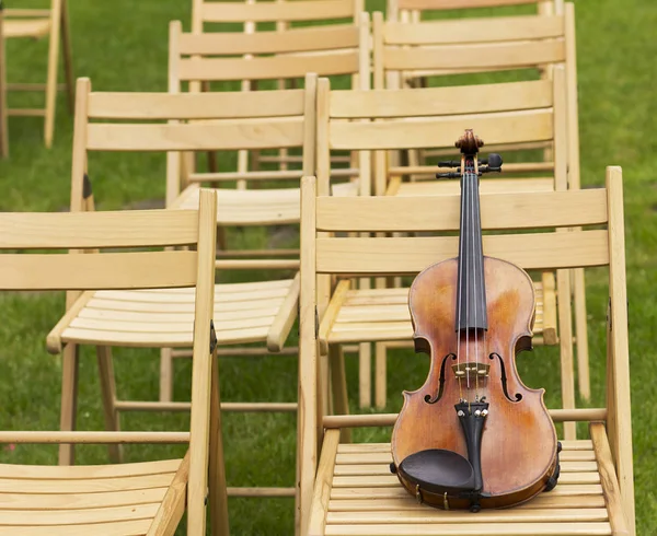 Violin on a background of a wedding arch. Violin at the wedding. Live music. Violin — Stock Photo, Image