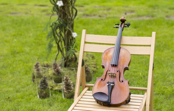 Keman bir düğün kemer bir arka plan üzerinde. Keman düğün. Canlı müzik. Keman — Stok fotoğraf