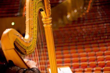 Büyük bir konser salonunda arp. Müzik aleti. Arp.
