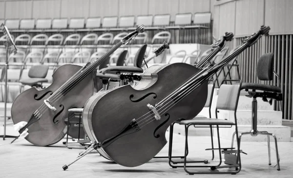 Contrabasses Een Podium Strijkinstrument Viool Cello — Stockfoto