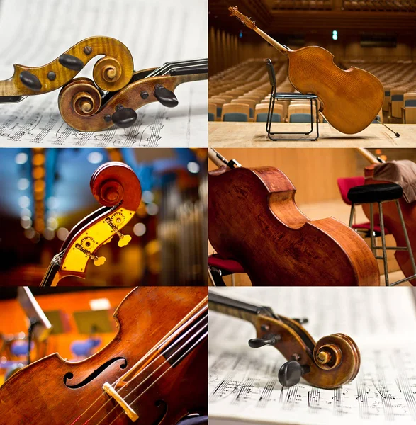 Contrabasses Stage String Instrument Violin Cello — Stock Photo, Image