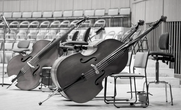 ステージ上のコントラバス ストリング楽器 Violin Cello ロイヤリティフリーのストック写真