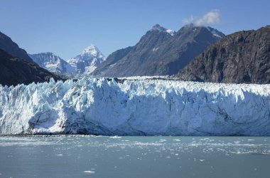 Buzul. - Evet. Vahşi yaşam Alaska. Okyanusta buz kütlesi