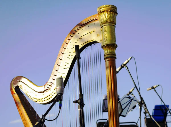 Harp in the open air. Live music in the park. harp