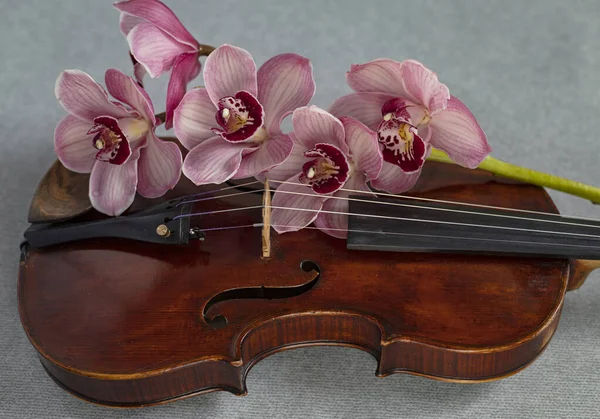 Violin in flowers. Musical instrument. Romantic music.