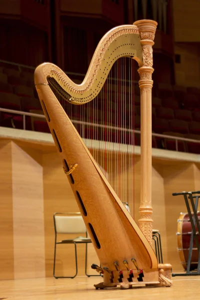 Harfa Dużej Sali Koncertowej Instrumenty Muzyczne Harfa — Zdjęcie stockowe