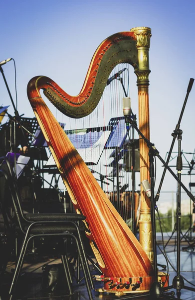 Harp in the open air. Live music in the park. harp