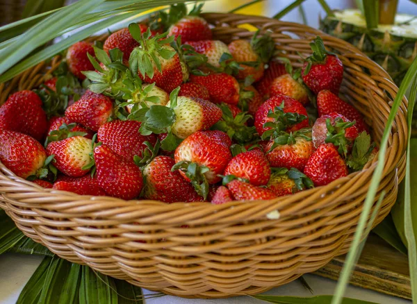 Red Strawberries Wicker Basket Outdoors — Stock Photo, Image