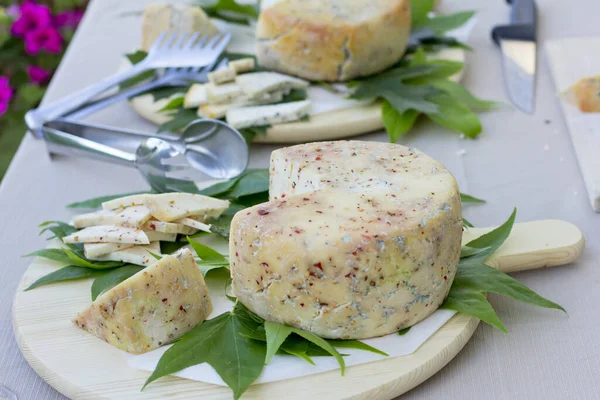 Cheese Cutting Outdoors Banquet Cheese Head Cafe Open Air — Stock Photo, Image