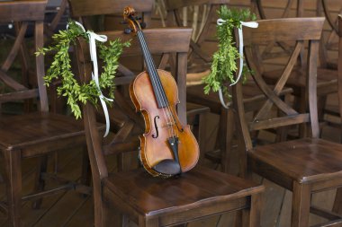 Sandalyedeki keman. Müzik aleti. Canlı müzik.