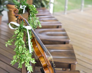 Tahta sandalyedeki keman.