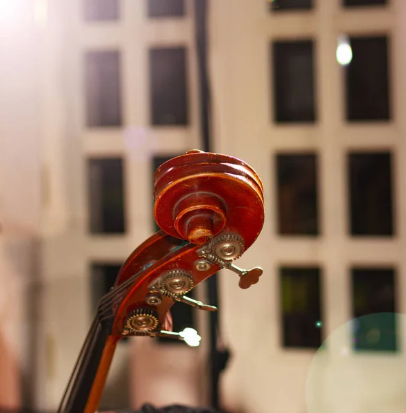 Kvällskonsert Med Klassisk Musik Dubbelbas Konserthuset Levande Ljud — Stockfoto