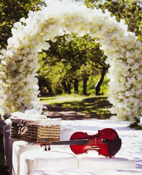 Düğün Kemerinin Arka Planında Güzel Bir Keman Çiçeklerin Arka Planında — Stok fotoğraf