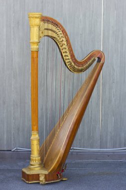 Açık havada arp çalın. Büyük konser arpı.