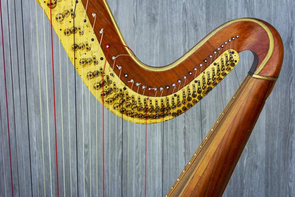 Harfa Čerstvém Vzduchu Velká Koncertní Harfa — Stock fotografie