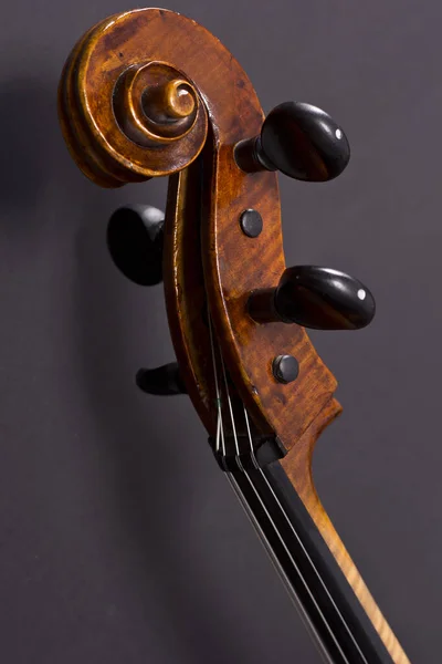 Çift Levrek Kafası String Müzik Aleti — Stok fotoğraf