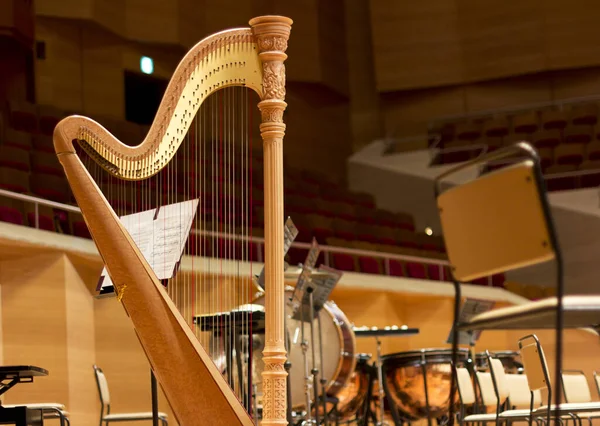 在一个大音乐厅里打哈欠 音乐会竖琴 — 图库照片