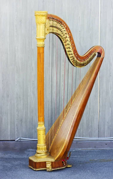 Harpe Sur Fond Gris Instrument Musique — Photo