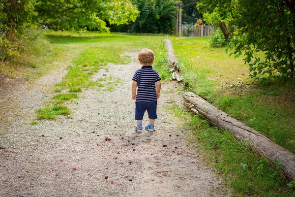 Netter Kleiner Junge Freien Ein Kind Spielt Auf Dem Hof — Stockfoto