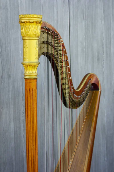 Harpa Palco Harpa Livre — Fotografia de Stock