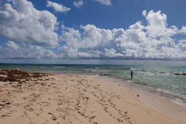 Karayip Denizi 'ndeki kumsal 