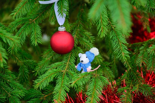 Kırmızı Noel topları ve süslemelerle süslenmiş Noel ağacındaki beyaz fare. 2020 yılının sembolü..