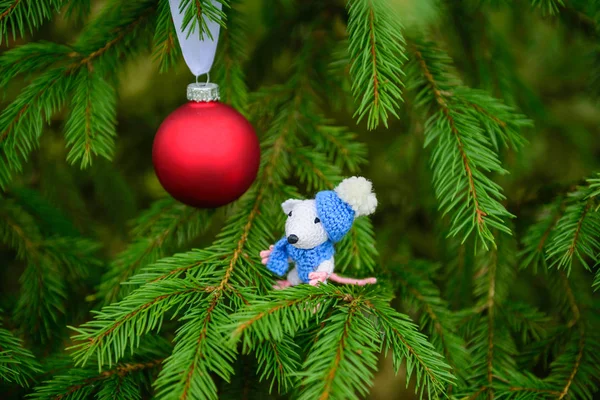 White Mouse Red Christmas Ball Christmas Tree Symbol New Year — Stock Photo, Image