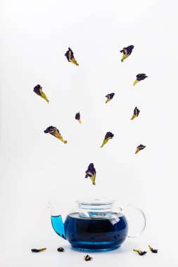 Uçan klitoria çiçekleriyle mavi Anchan çayı. Kelebek bezelye çayı demlikte.