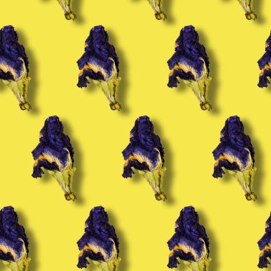 Sarı arka planda klitoria çiçekleri deseni.