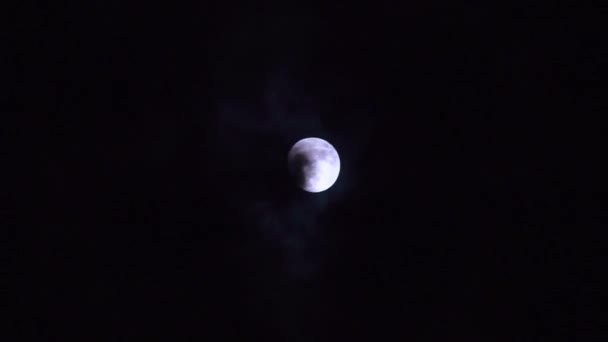 Pełnia księżyca z chmurą w nocy — Wideo stockowe