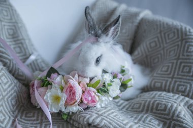 Sıcak bir battaniyede çiçekleri olan küçük tüylü siyah beyaz tavşan.