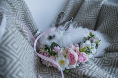 Sıcak bir battaniyede çiçekleri olan küçük tüylü siyah beyaz tavşan.