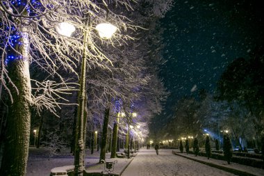 Karla kaplı bir parkta bir gece. Şiddetli bir kar fırtınası parlayan ışıkları ve ağaçları kaplıyor.