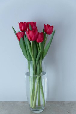 Cam vazoda kırmızı laleler ve masada su.