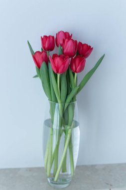 Cam vazoda kırmızı laleler ve masada su.