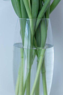 Cam vazodaki ıssız lale yaprakları. Masada su var.