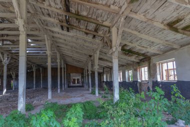 Ahşap çatılı terk edilmiş eski tuğla çiftlik evi yaşlılıktan çökmüş.