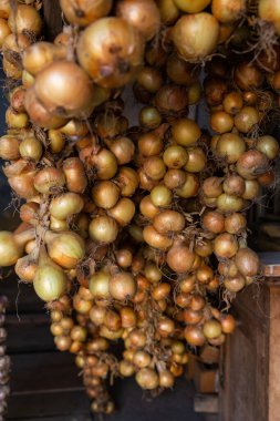 Örgülü soğan asılı ve kuru.