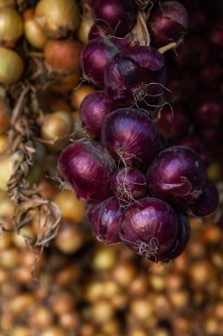 Örgülü soğan asılı ve kuru.