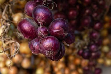 Örgülü soğan asılı ve kuru.