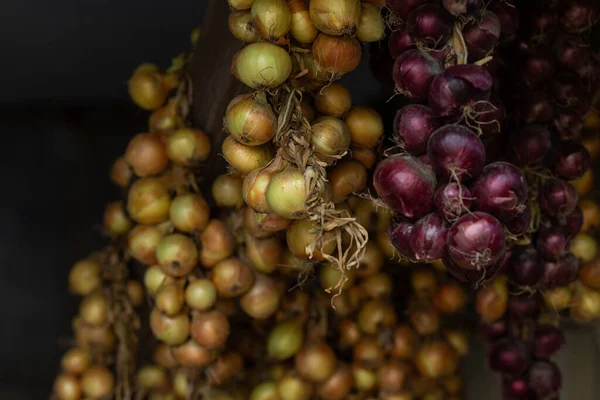 Örgülü soğan asılı ve kuru.