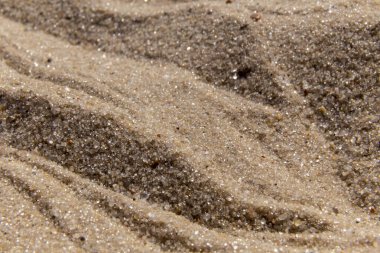 Güneşli bir günde kumsalda yakın çekim