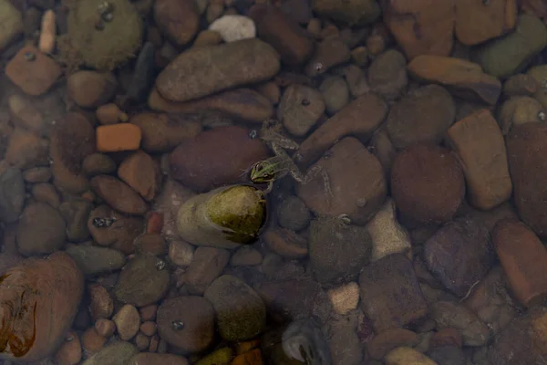 Verde Rio Água Com Fundo Rocha — Fotografia de Stock