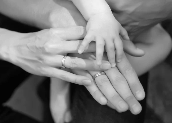 Las Manos Familiares De La Madre Padre Y El Pequeno Bebe Unidad De Apoyo Y Concepto De Proteccion Dia De Las Madres O Los Padres La Familia Ama Una Confianza Fotografia De