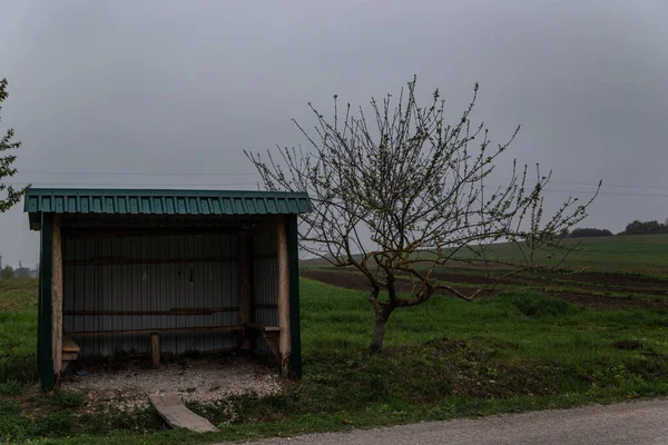 Autobusová Zastávka Poli Poblíž Kvetoucího Stromu — Stock fotografie