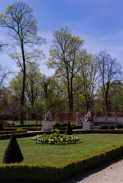 Baharın Başında Yeşil Park — Stok fotoğraf